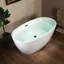 55'' x 31.75'' Freestanding Double Ended Soaking Acrylic Bathtub-74466854