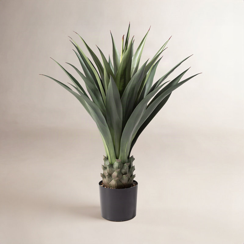 Fausse plante d'agave en pot Amee H 39,25 po
