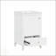 Meuble-lavabo de 20 pouces avec lavabo en céramique, porte à fermeture en douceur et nombreuses solutions de rangement pour les salles de bain modernes