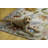 Elling Floral Ivory and Multi Indoor Outdoor Machine Washable Area Rug-988742994