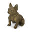 Statue de jardin bouledogue français Ohara-1091907839
