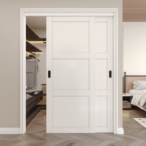 Paneled Manufactured Wood White Sliding Closet Doors