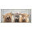 Three Of A Kind by Charlotte Oakley - Single Picture Frame Painting-2034913594