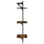 2 Piece Tiered Shelf-93314934