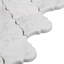 12 po x 12 po Carrara White