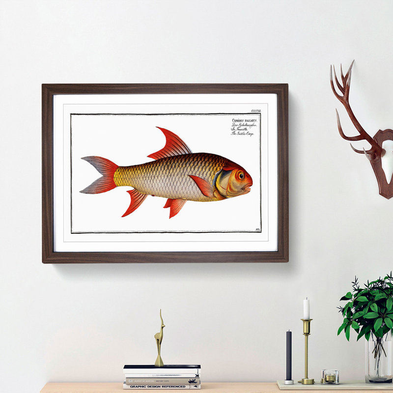 Sickle-Carp Fish by M.E. Bloch - Picture Frame Painting Print, 27cm H x 36cm W x 2cm D, Walnut Framed