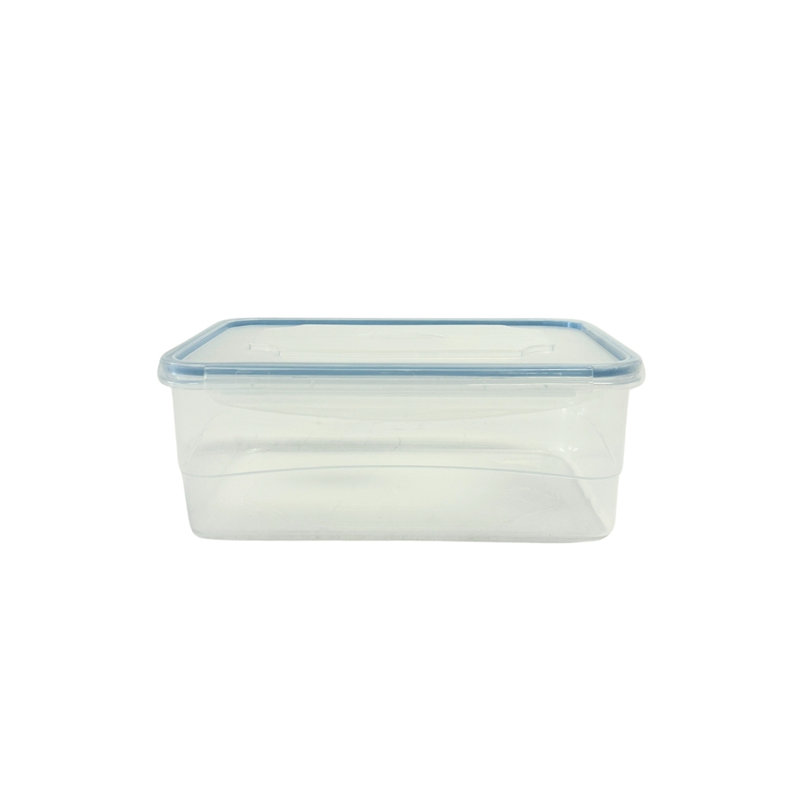 Contenant alimentaire Dammien - ensemble de 5, Bleu
