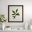 A Little Piece Of Nature III Print