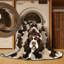  Tapis lavable American Water Spaniel-388663591