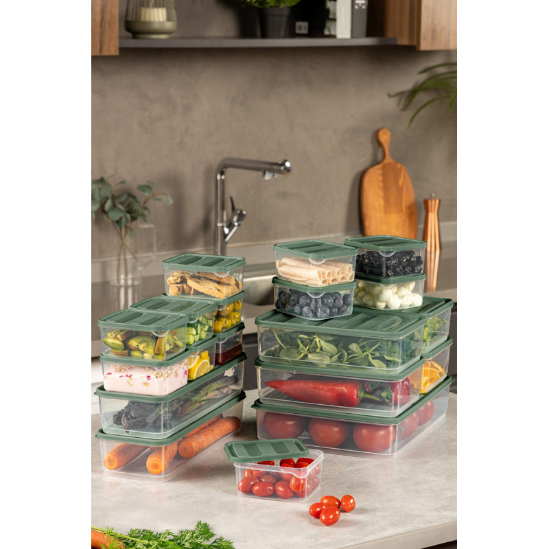 Versatile Green Storage Box Set (19 Pieces), 11 x 12 x 3 inches (2), 9 x 6 x 3 inches (4), 4 x 4 x 2 inches (12), 9 x 11.5 x 2.5 inches (1) | 100% Plastic, Dishwasher-Safe | Ideal for Organizing Kitchen & Home Essentials