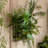 Handmade Modern Plants & Flowers Wall Decor on Resin-792278448