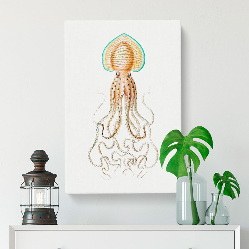 Vintage Squid Vol.1 by Ernst Haeckel - Wrapped Canvas Painting, 76cm H x 50cm W x 3cm D