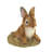 Curious Bunny Garden Decor | Realistic Rabbit Lawn Statue
