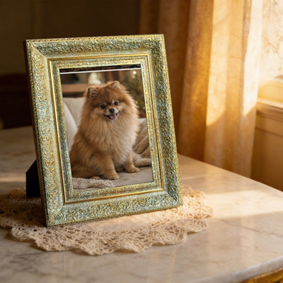 Refined Picture Frame with Photo Protector