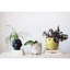 Vase décoratif en grès à pois surélevés-1237606658