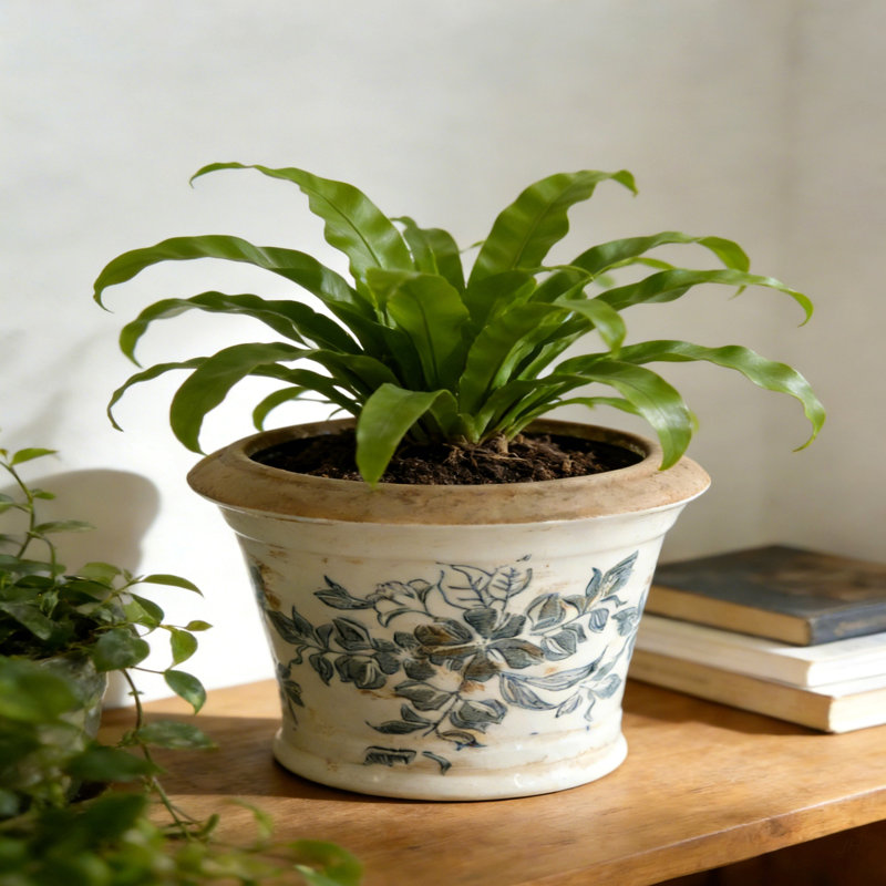 Jardinière en céramique 5,3 x 5,3 x 5,1 po à motif floral, ensemble de 4