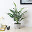 Fausse plante 15 '' Philodendron Taro en pot