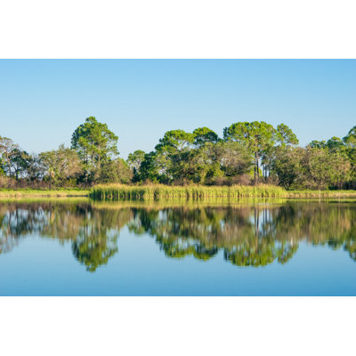 Pond Reflection - Wrapped Canvas Print