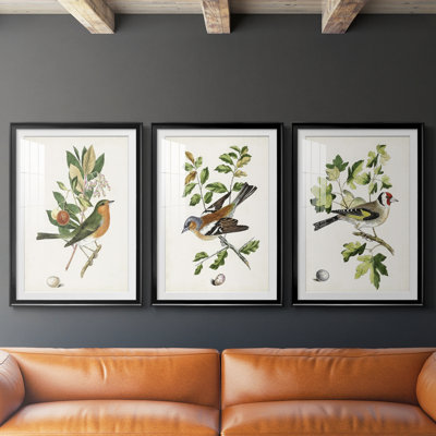 Antique Bird, Botanical & Egg I  -Custom Framed  Premium Print W Matt - 3 Pieces