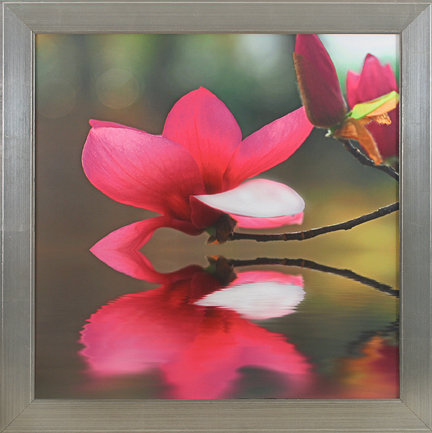 Lotus Reflections Print