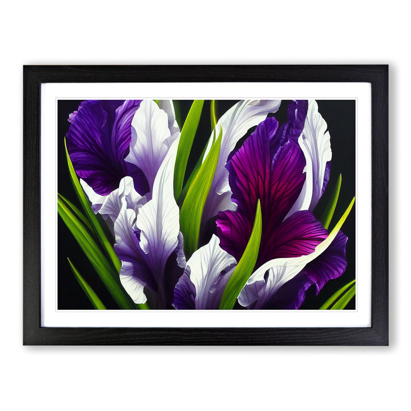 XH1022-6109X Modern Iris Flowers Vol.6 - Single Picture Frame Print, 46cm H x 64cm W x 2cm D, Black