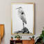 Shoreline Heron en toile encadrée de qualité supérieure - prêt à accrocher-1428755794-1428755795
