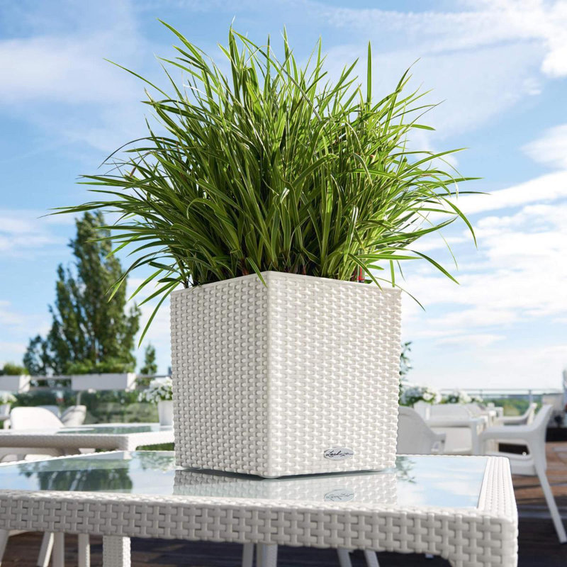 Moneak Planter Box, White, 50cm H x 50cm W x 50cm D