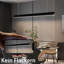 - Light Matte Black LED Pendant