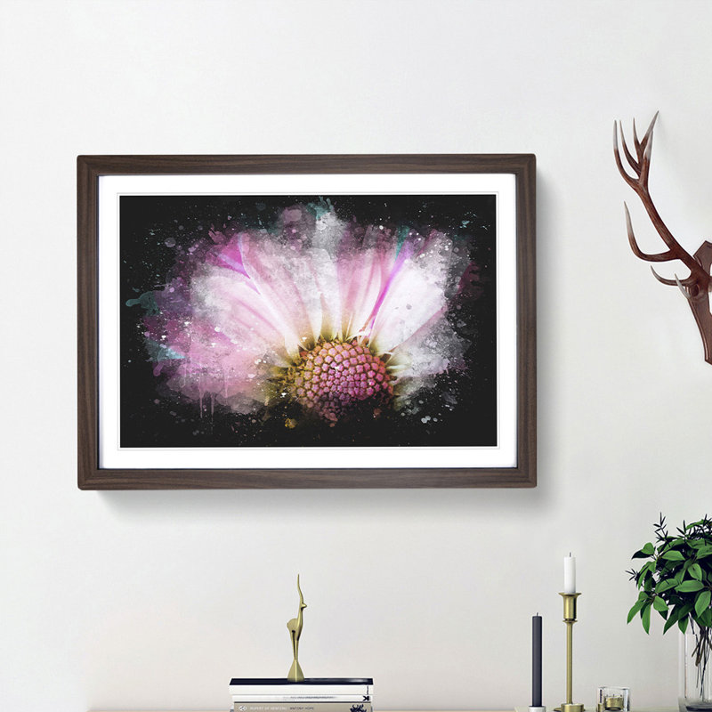Pink Daisy Flower - Picture Frame Graphic Art Print, 33cm H x 45cm W x 2cm D, Walnut Framed
