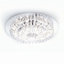Ceiling light 9-flame