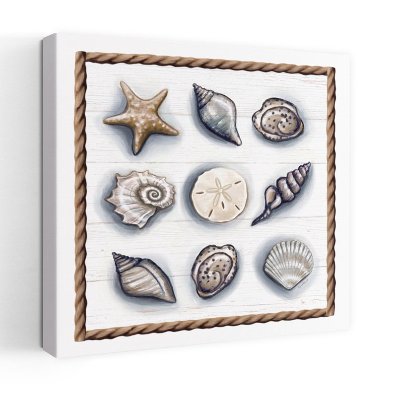 Beach Shells Ii Coastal Beach Shell Art, 48" H x 48" W