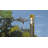 32'' H Metal Nautical & Beach Weathervane-39856050