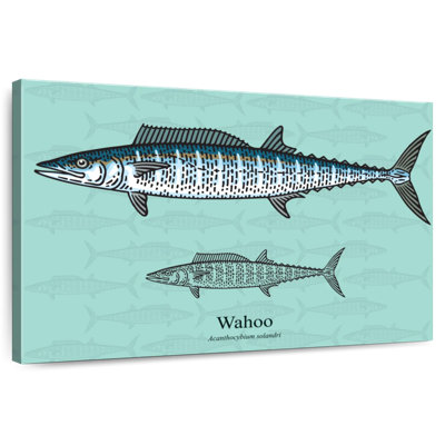 Wahoo Brampt