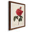Red Botanical III - cadre photo, impression sur toile-61317223-61317231