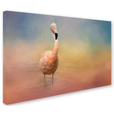 Flamingo Friday Graphic Art Print on Wrapped Canvas