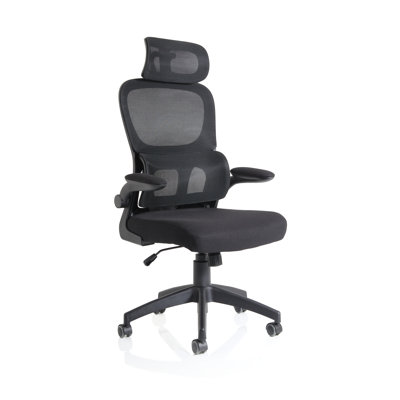 Inbox Zero Aldarcy Task Chair with Headrest
