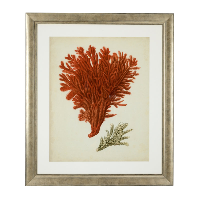 Antique Corals Print