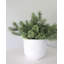 Faux Moss Branch