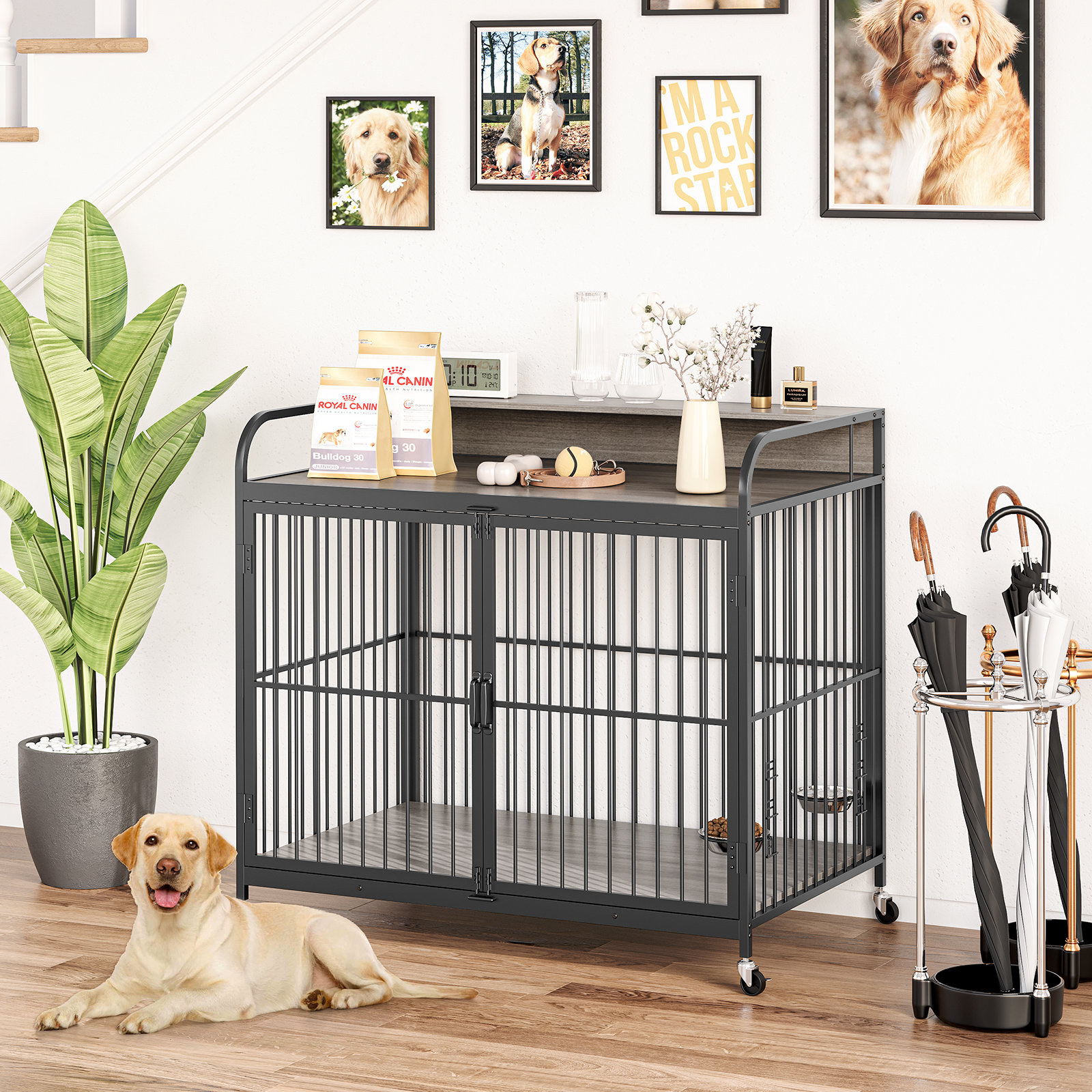 Tucker Murphy Pet™ Dog Crate Furniture, Dog Crate Indoor With ...