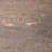 Tech Land 8.75'' W x 13'' L Porcelain Singular Tile