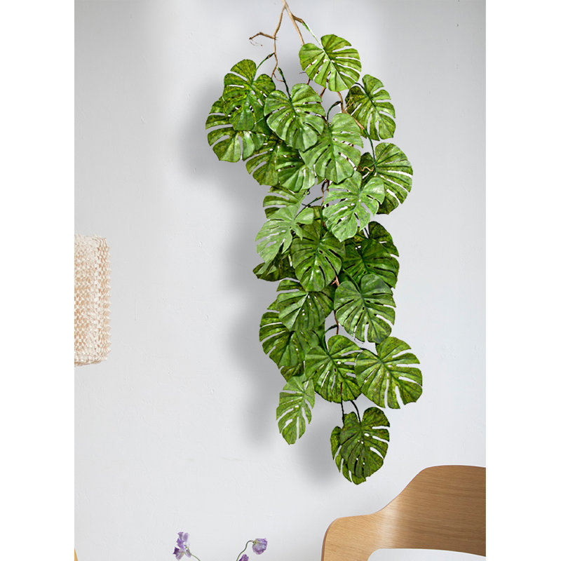 hawaian pothos Hawaiian Pothos starter plant **(ALL plants require you to purchase ANY 2  plants!)**