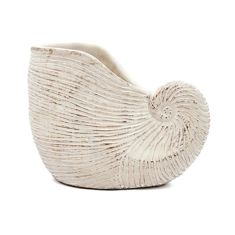 Alariz 8.5X5.5X6.3 Inches Beige Finish Sand And Cement Shell Planter, Complements Industrial Home Decor Planter With Design, Textured Finish, For Plant Decoration