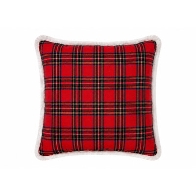 Fringed Reversible Throw Pillow