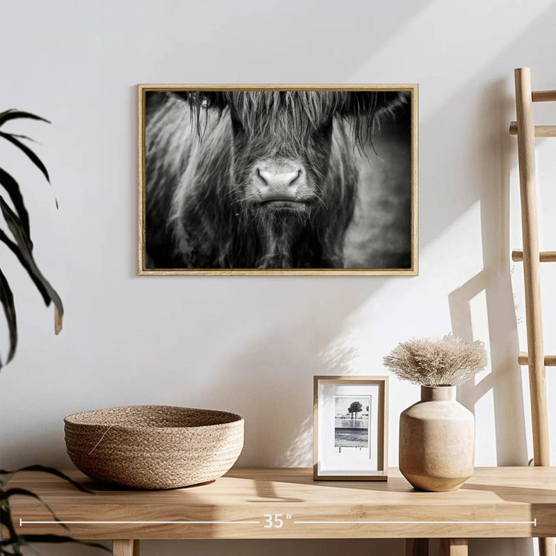 Vache Highland, Cadre flottant en bois naturel, 19 po x 13 po