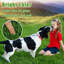 Artificial Grass Rug - 2X8ft Indoor/Outdoor Dog Grass M...