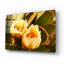 «Prickly Pear Cactus Blooms Az 8639» par Mike Jones, art mural en verre acrylique, 16 po x 12 po-132496559