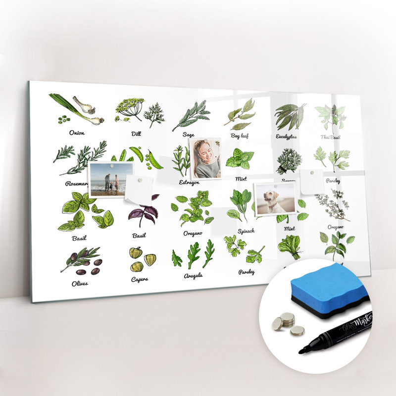 Magnetic Glass Dry Erase Board
