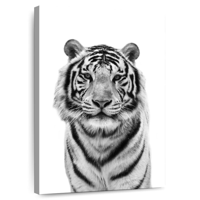 Brampt Monochrome Bengal Tiger, 45" H x 30" W