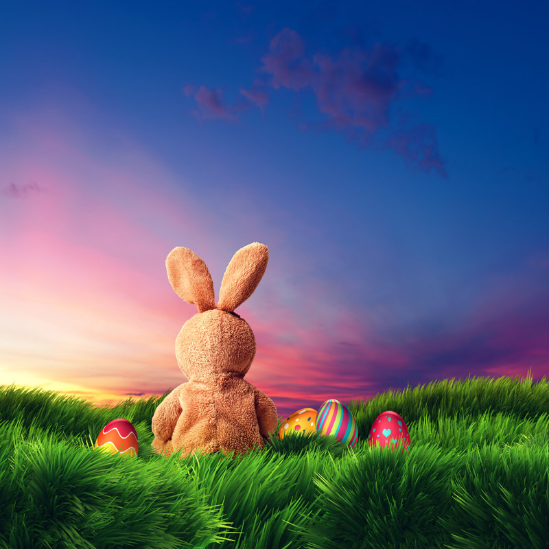 Easter Bunny and Eggs 1 Piece Wrapped Canvas Wall Art, 91cm H x 91cm W x 3.8cm D