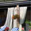 Photos des clients 1 de 2